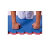 Puzzle tatami sports mat 100×100x2 cm LEE red-blue