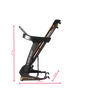 S-SPORT BEAST threadmill