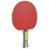 Ping pong JOOLA GERMANY MASTER