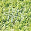 Flexible Soccer Goal NET PLAYZ QUICK SET UP S-Sport
