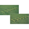 Vinex Agility Ladder - 2 In 1
