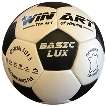 Leather football, size 5 WINART BASIC LUX
