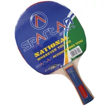 Ping pong table SPARTAN EASY