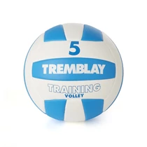 Volleyball, outdoor TREMBLAY SCHOOL