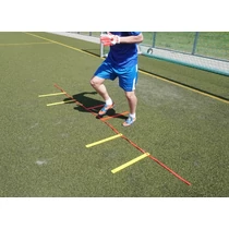 Goalkeeper coordination ladder WINART