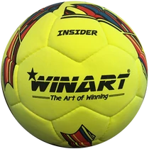 WINART INSIDER indoor soccer ball, size 5
