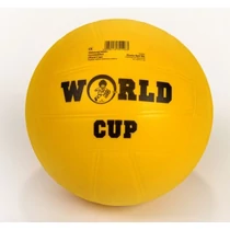 Children football PLASTO WORLD CUP