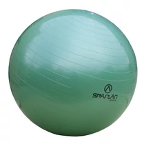 Gymnastics ball, 65 cm SPARTAN