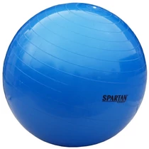 Gymnastics ball, 55 cm SPARTAN