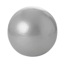 Gymnastics ball with dumbbell, 75 cm TREMBLAY
