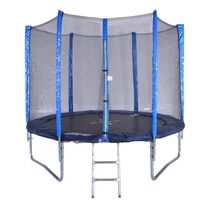 S-SPORT Trampoline set with ladder, 250 cm