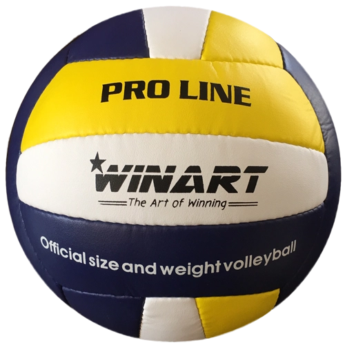 Volleyball WINART PRO LINE No.5