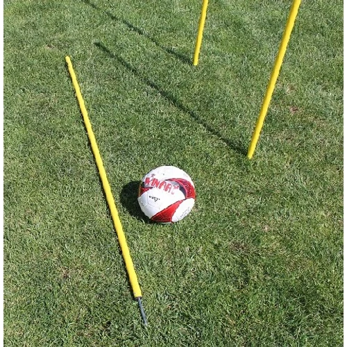 Red Spike Pole (160 cm, fixed) WINART