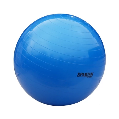 Gymnastics ball, 55 cm SPARTAN