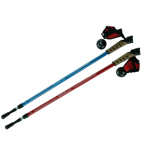 NORDIC WALKING